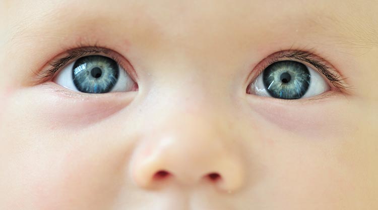 baby's eyes